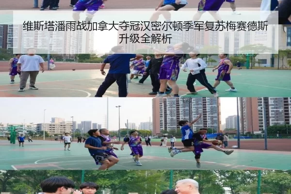 维斯塔潘雨战加拿大夺冠汉密尔顿季军复苏梅赛德斯升级全解析